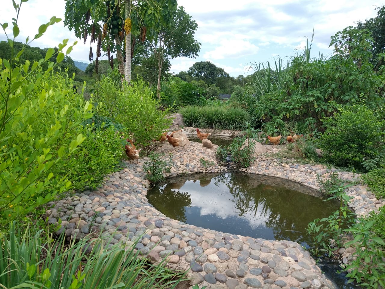 Estanques y huerta del sistema de Agro-Acuicultura Integrada en Jimain, Sierra Nevada