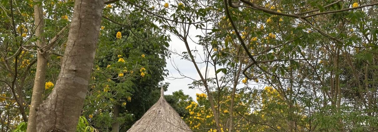 Casa Arhuaca en Swaka