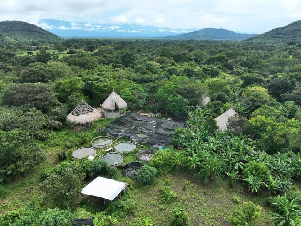 Swaka un lugar para pensar
