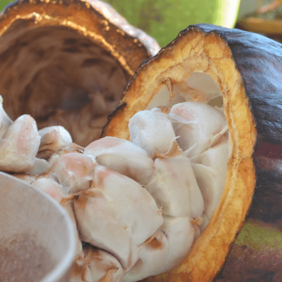 Productos naturales Sierra Nevada: Un Tesoro de la Madre Tierra